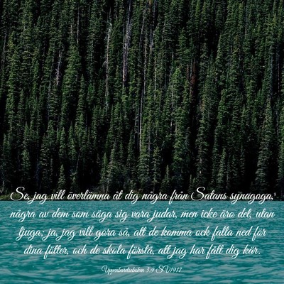 Picture 03 - Uppenbarelseboken 3:9 SV1917 - Se, jag vill överlämna åt dig några från - Bible Verse Picture