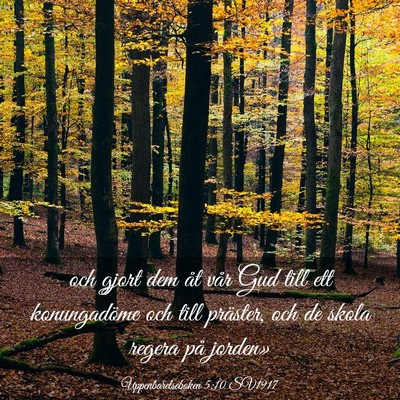 Picture 03 - Uppenbarelseboken 5:10 SV1917 - och gjort dem åt vår Gud till ett konungadöme - Bible Verse Picture