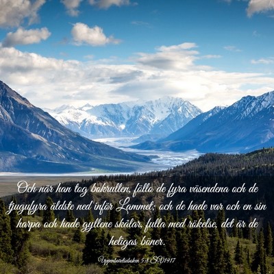 Picture 03 - Uppenbarelseboken 5:8 SV1917 - Och när han tog bokrullen, föllo de fyra - Bible Verse Picture
