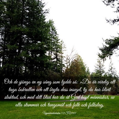 Picture 03 - Uppenbarelseboken 5:9 SV1917 - Och de sjöngo en ny sång som lydde så: »Du - Bible Verse Picture