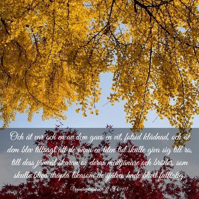 Picture 03 - Uppenbarelseboken 6:11 SV1917 - Och åt var och en av dem gavs en vit, fotsid - Bible Verse Picture