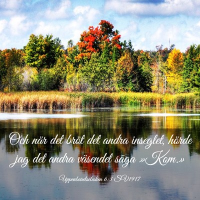 Picture 03 - Uppenbarelseboken 6:3 SV1917 - Och när det bröt det andra inseglet, hörde jag - Bible Verse Picture