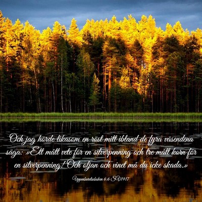 Picture 03 - Uppenbarelseboken 6:6 SV1917 - Och jag hörde likasom en röst mitt ibland de - Bible Verse Picture
