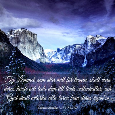 Picture 03 - Uppenbarelseboken 7:17 SV1917 - Ty Lammet, som står mitt för tronen, skall vara - Bible Verse Picture
