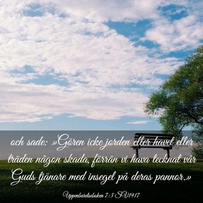 Picture 03 - Uppenbarelseboken 7:3 SV1917 - och sade: »Gören icke jorden eller havet eller - Bible Verse Picture