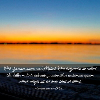 Picture 03 - Uppenbarelseboken 8:11 SV1917 - Och stjärnans namn var Malört. Och tredjedelen - Bible Verse Picture