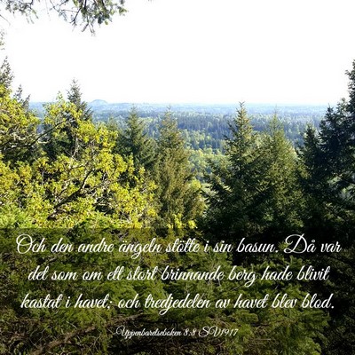 Picture 03 - Uppenbarelseboken 8:8 SV1917 - Och den andre ängeln stötte i sin basun. Då - Bible Verse Picture