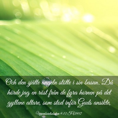 Picture 03 - Uppenbarelseboken 9:13 SV1917 - Och den sjätte ängeln stötte i sin basun. Då - Bible Verse Picture
