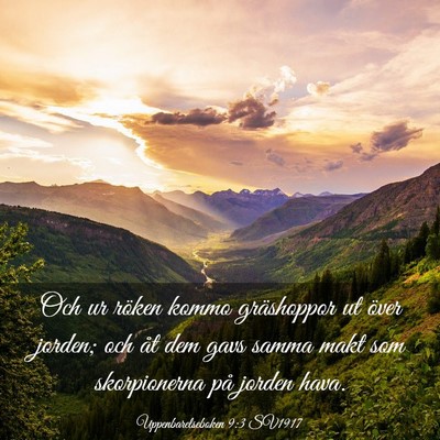 Picture 03 - Uppenbarelseboken 9:3 SV1917 - Och ur röken kommo gräshoppor ut över jorden; - Bible Verse Picture
