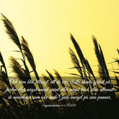 Picture 03 - Uppenbarelseboken 9:4 SV1917 - Och dem blev tillsagt, att de icke skulle skada - Bible Verse Picture