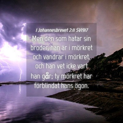 Picture 04 - 1 Johannesbrevet 2:11 SV1917 - Men den som hatar sin broder, han är i mörkret - Bible Verse Picture