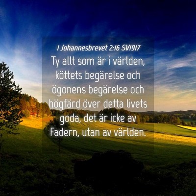 Picture 04 - 1 Johannesbrevet 2:16 SV1917 - Ty allt som är i världen, köttets begärelse - Bible Verse Picture