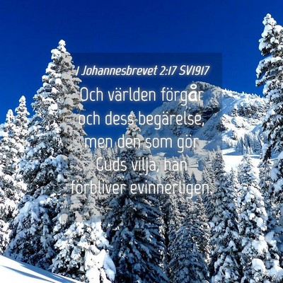 Picture 04 - 1 Johannesbrevet 2:17 SV1917 - Och världen förgår och dess begärelse, men - Bible Verse Picture