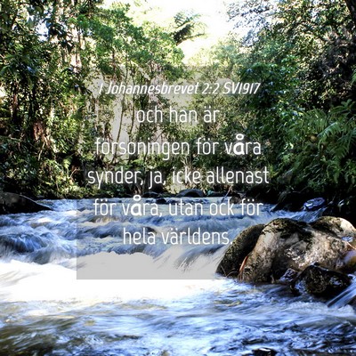Picture 04 - 1 Johannesbrevet 2:2 SV1917 - och han är försoningen för våra synder, ja, - Bible Verse Picture