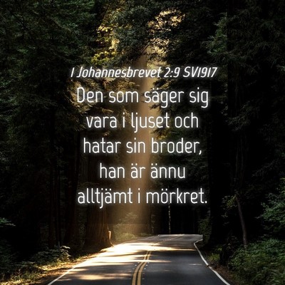 Picture 04 - 1 Johannesbrevet 2:9 SV1917 - Den som säger sig vara i ljuset och hatar sin - Bible Verse Picture