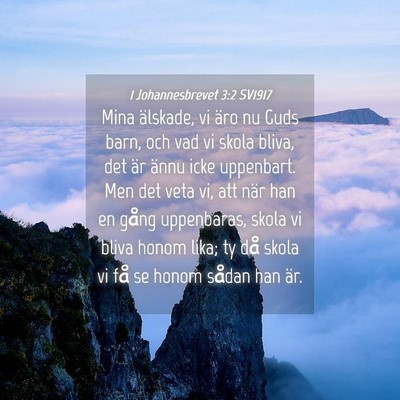 Picture 04 - 1 Johannesbrevet 3:2 SV1917 - Mina älskade, vi äro nu Guds barn, och vad vi - Bible Verse Picture