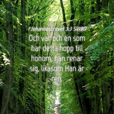 Picture 04 - 1 Johannesbrevet 3:3 SV1917 - Och var och en som har detta hopp till honom, han - Bible Verse Picture