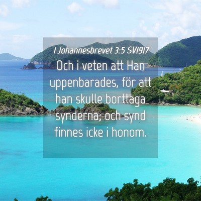 Picture 04 - 1 Johannesbrevet 3:5 SV1917 - Och i veten att Han uppenbarades, för att han - Bible Verse Picture