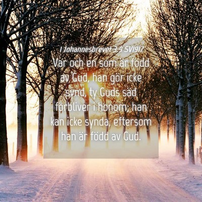 Picture 04 - 1 Johannesbrevet 3:9 SV1917 - Var och en som är född av Gud, han gör icke - Bible Verse Picture
