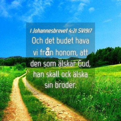 Picture 04 - 1 Johannesbrevet 4:21 SV1917 - Och det budet hava vi från honom, att den som - Bible Verse Picture