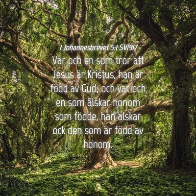 Picture 04 - 1 Johannesbrevet 5:1 SV1917 - Var och en som tror att Jesus är Kristus, han - Bible Verse Picture