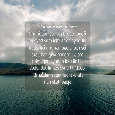 Picture 04 - 1 Johannesbrevet 5:16 SV1917 - Om någon ser sin broder begå en synd som icke - Bible Verse Picture