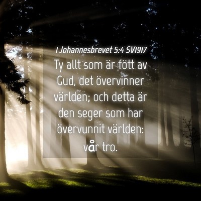 Picture 04 - 1 Johannesbrevet 5:4 SV1917 - Ty allt som är fött av Gud, det övervinner - Bible Verse Picture