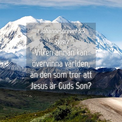 Picture 04 - 1 Johannesbrevet 5:5 SV1917 - Vilken annan kan övervinna världen, än den som - Bible Verse Picture