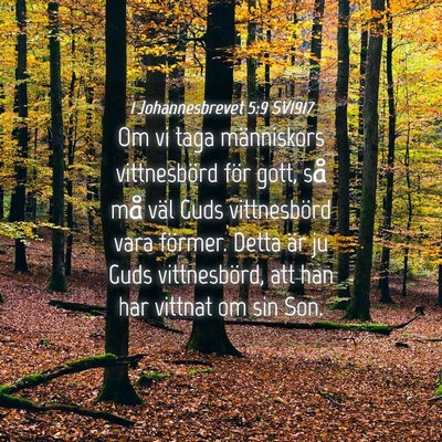 Picture 04 - 1 Johannesbrevet 5:9 SV1917 - Om vi taga människors vittnesbörd för gott, - Bible Verse Picture