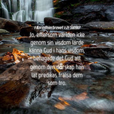 Picture 04 - 1 Korinthierbrevet 1:21 SV1917 - Jo, eftersom världen icke genom sin visdom - Bible Verse Picture