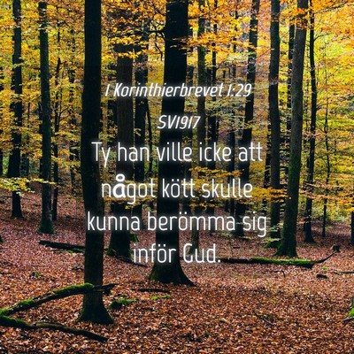 Picture 04 - 1 Korinthierbrevet 1:29 SV1917 - Ty han ville icke att något kött skulle kunna - Bible Verse Picture