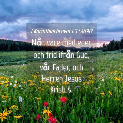 Picture 04 - 1 Korinthierbrevet 1:3 SV1917 - Nåd vare med eder och frid ifrån Gud, vår - Bible Verse Picture