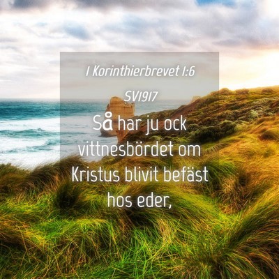 Picture 04 - 1 Korinthierbrevet 1:6 SV1917 - Så har ju ock vittnesbördet om Kristus blivit - Bible Verse Picture