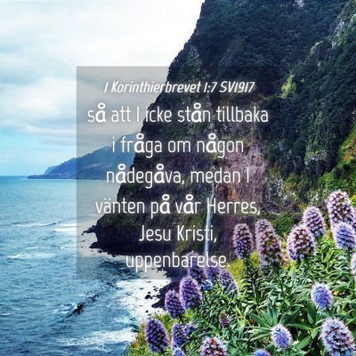 Picture 04 - 1 Korinthierbrevet 1:7 SV1917 - så att I icke stån tillbaka i fråga om någon - Bible Verse Picture