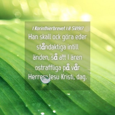 Picture 04 - 1 Korinthierbrevet 1:8 SV1917 - Han skall ock göra eder ståndaktiga intill - Bible Verse Picture