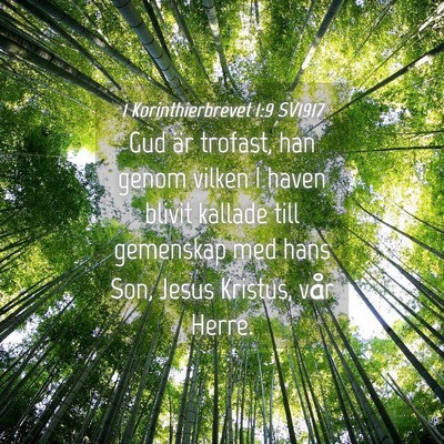 Picture 04 - 1 Korinthierbrevet 1:9 SV1917 - Gud är trofast, han genom vilken I haven blivit - Bible Verse Picture