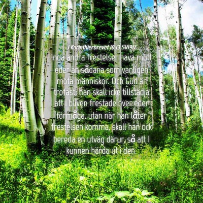 Picture 04 - 1 Korinthierbrevet 10:13 SV1917 - Inga andra frestelser hava mött eder än sådana - Bible Verse Picture