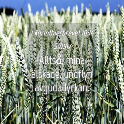Picture 04 - 1 Korinthierbrevet 10:14 SV1917 - Alltså, mina älskade, undflyn - Bible Verse Picture