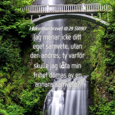 Picture 04 - 1 Korinthierbrevet 10:29 SV1917 - jag menar icke ditt eget samvete, utan den - Bible Verse Picture