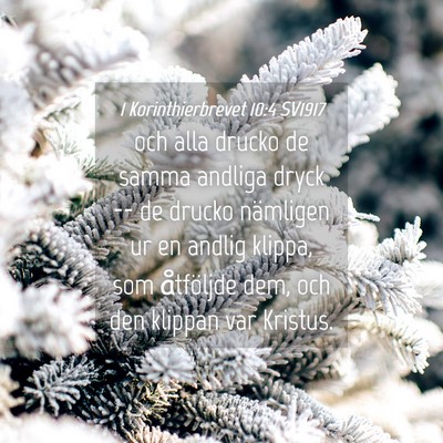 Picture 04 - 1 Korinthierbrevet 10:4 SV1917 - och alla drucko de samma andliga dryck -- de - Bible Verse Picture