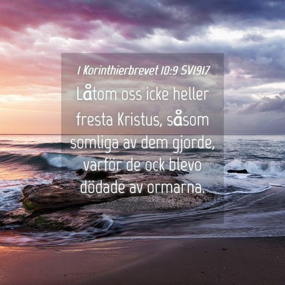 Picture 04 - 1 Korinthierbrevet 10:9 SV1917 - Låtom oss icke heller fresta Kristus, såsom - Bible Verse Picture