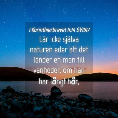 Picture 04 - 1 Korinthierbrevet 11:14 SV1917 - Lär icke själva naturen eder att det länder en - Bible Verse Picture