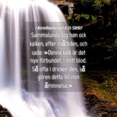 Picture 04 - 1 Korinthierbrevet 11:25 SV1917 - Sammalunda tog han ock kalken, efter måltiden, - Bible Verse Picture