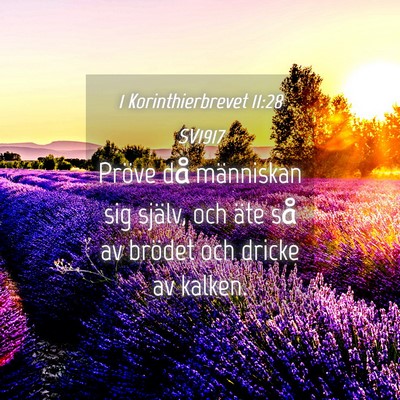 Picture 04 - 1 Korinthierbrevet 11:28 SV1917 - Pröve då människan sig själv, och äte så av - Bible Verse Picture