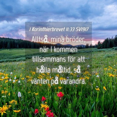 Picture 04 - 1 Korinthierbrevet 11:33 SV1917 - Alltså, mina bröder, när I kommen tillsammans - Bible Verse Picture