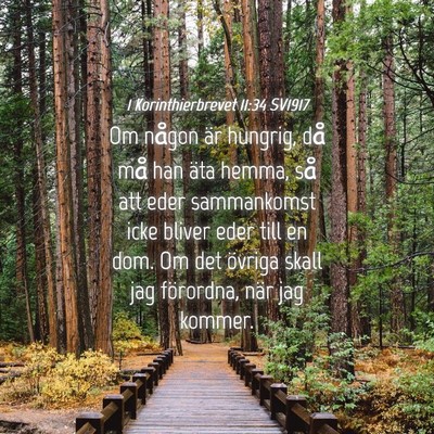 Picture 04 - 1 Korinthierbrevet 11:34 SV1917 - Om någon är hungrig, då må han äta hemma, - Bible Verse Picture