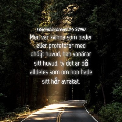 Picture 04 - 1 Korinthierbrevet 11:5 SV1917 - Men var kvinna som beder eller profeterar med - Bible Verse Picture