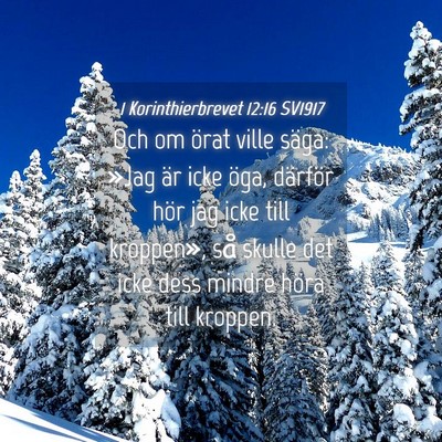 Picture 04 - 1 Korinthierbrevet 12:16 SV1917 - Och om örat ville säga: »Jag är icke öga, - Bible Verse Picture