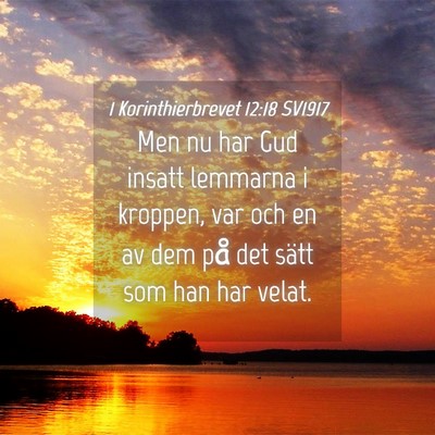 Picture 04 - 1 Korinthierbrevet 12:18 SV1917 - Men nu har Gud insatt lemmarna i kroppen, var och - Bible Verse Picture