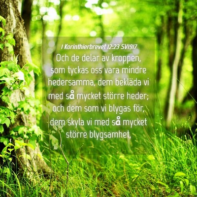 Picture 04 - 1 Korinthierbrevet 12:23 SV1917 - Och de delar av kroppen, som tyckas oss vara - Bible Verse Picture